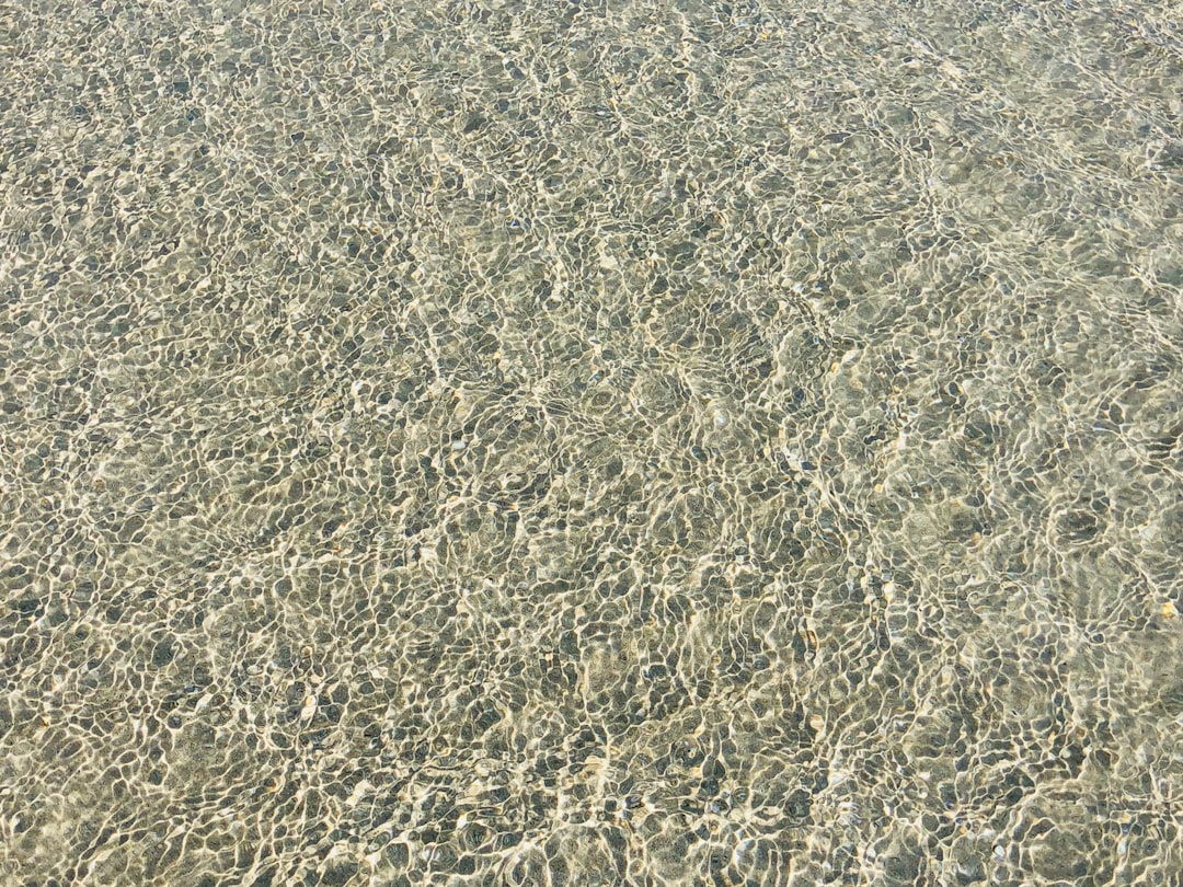 Frisse proteïne met bulk clear whey: licht, fruitig en verfrissend