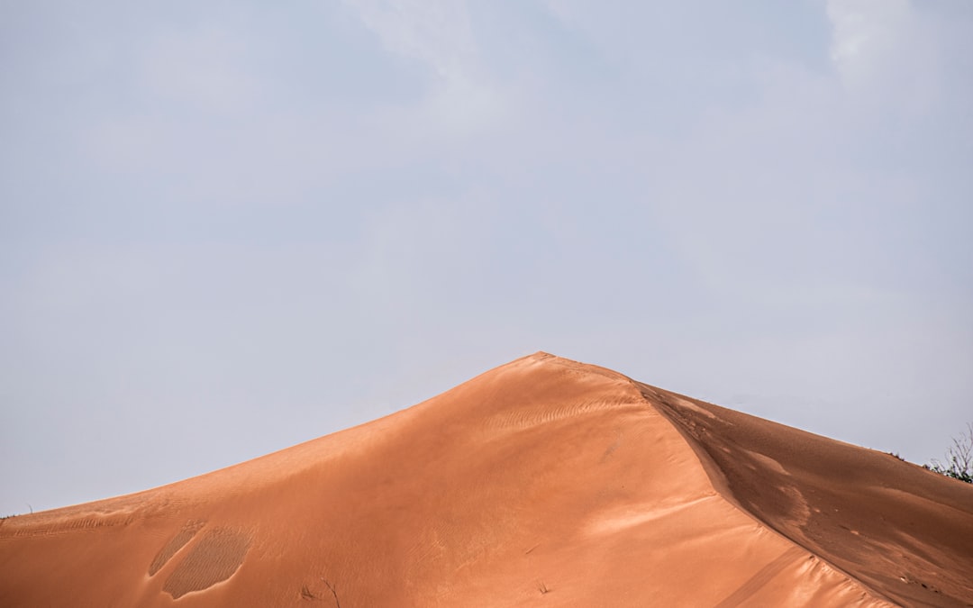 Herman den Blijker vermogen en zijn succes in Nederland