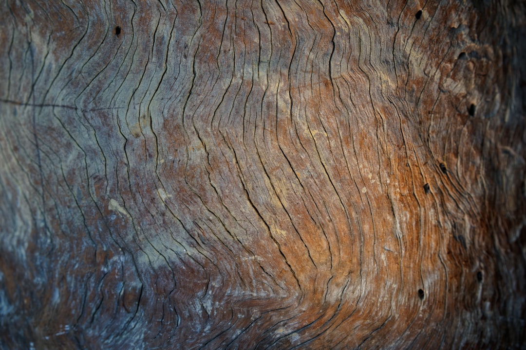 Quinten Timber uit de roulatie: wat zijn blessure betekent voor Feyenoord